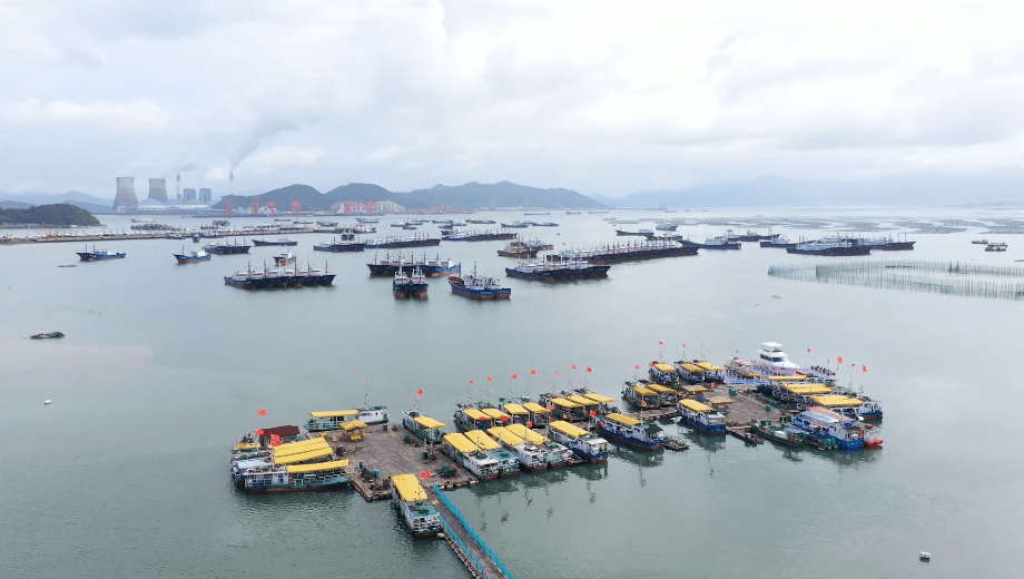 受今年6号台风"烟花"的影响,奉化翡翠湾海洋公园启动防台应急预案