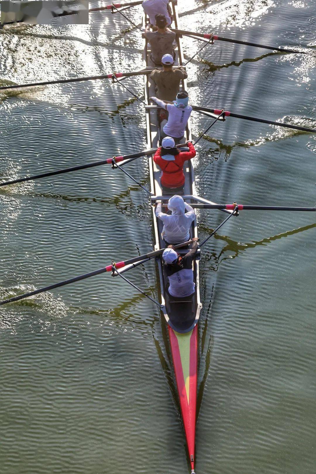 (三) 新人双双无舵手(2x),无性别要求(二) 四人双桨无舵手(4x),至少有