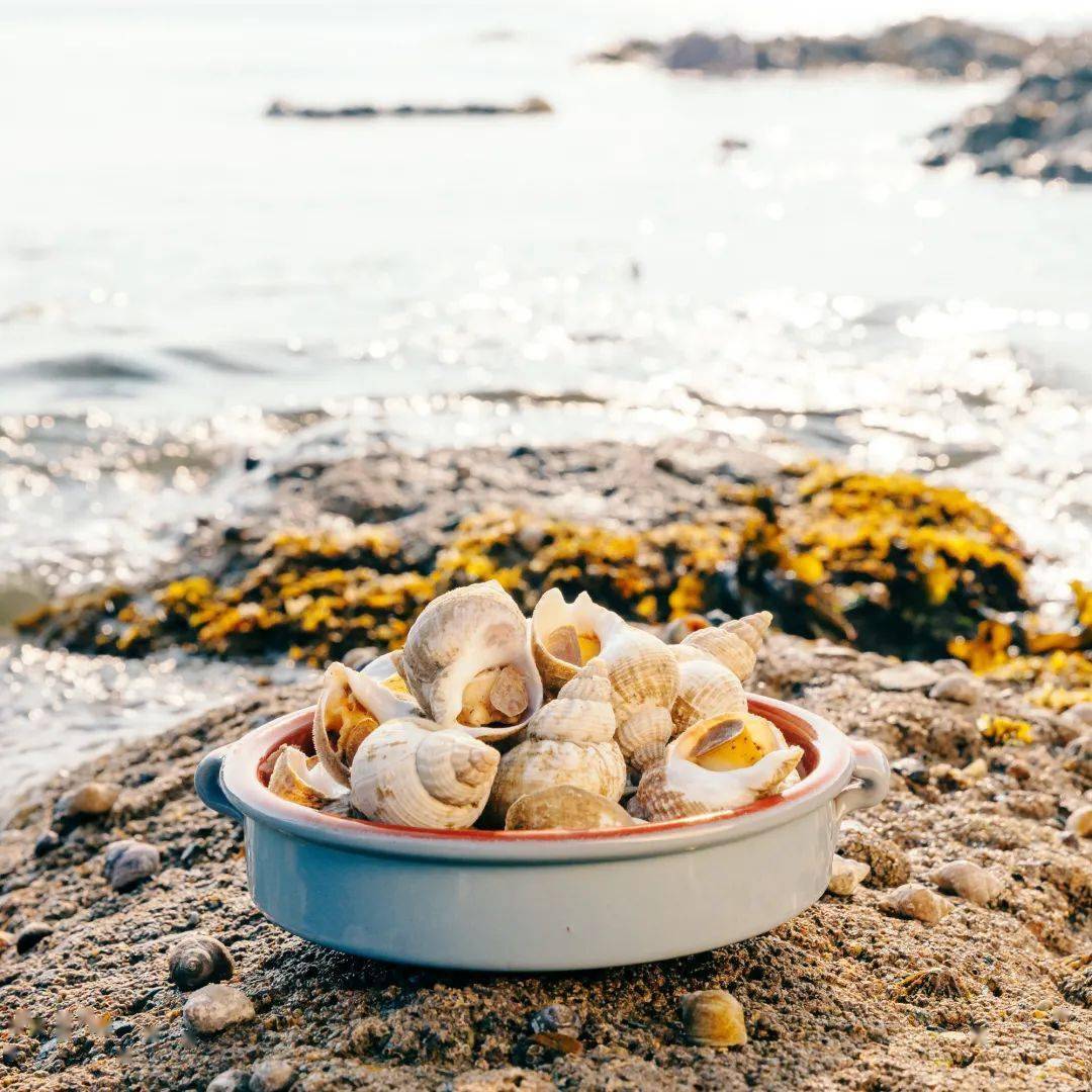 绿色本源爱尔兰海鲜,助力"食戟之最"诞生!