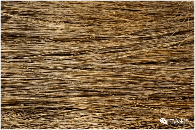 雨露麻来自大自然的馈赠