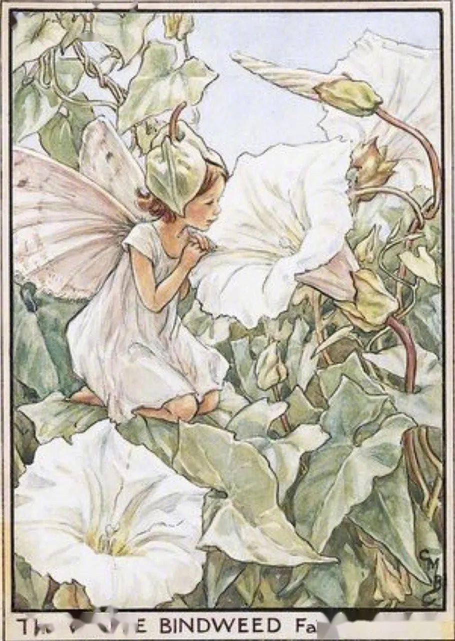 艺术家cicelymarybarker花间仙子