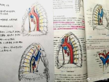 都说|学霸医学生画神仙笔记像印刷体