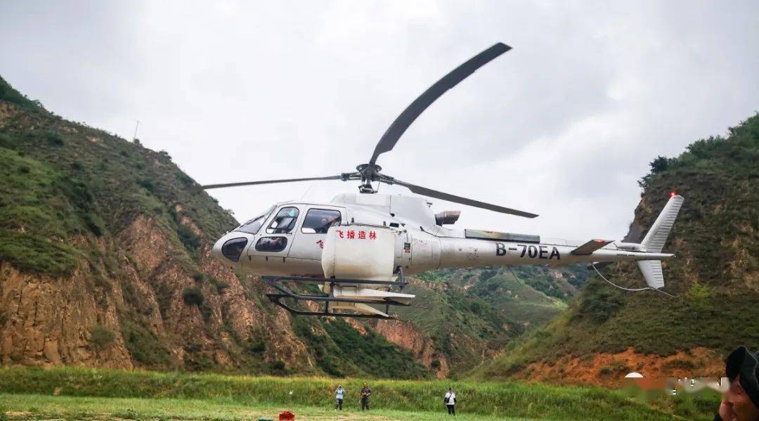 飞机播种造林可大量节省人力,物力,是最为接近森林自然演替的造林方法