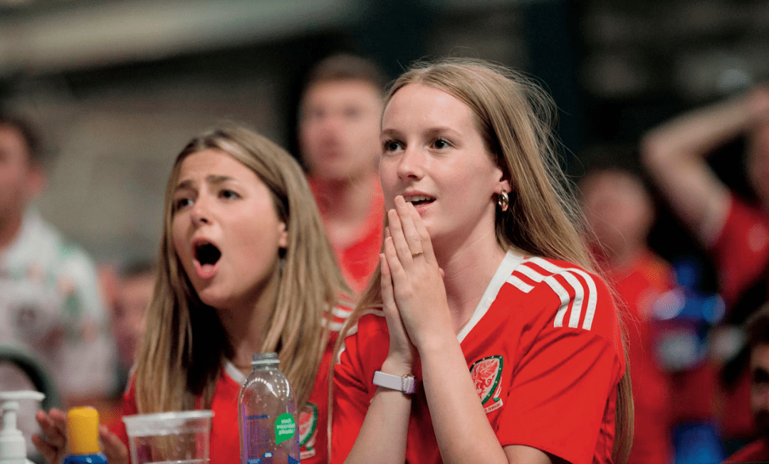 北马其顿球迷波兰球迷斯洛伐克球迷乌克兰球迷匈牙利球迷乌克兰球迷