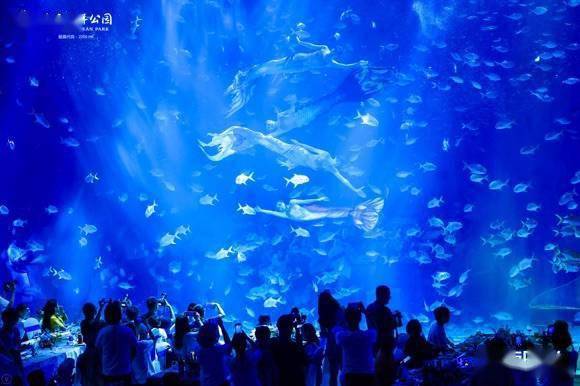 海洋公园的烟花 850712e4a8d24c588a70881eff2e2722.jpeg