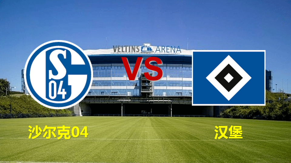 德乙:沙尔克04 vs 汉堡