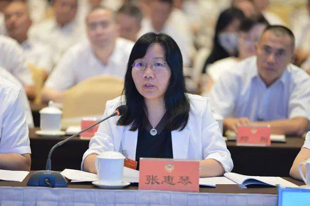 "全国政协委员许强,成华区政协委员张惠琴认为,区域优势显著,要素流通