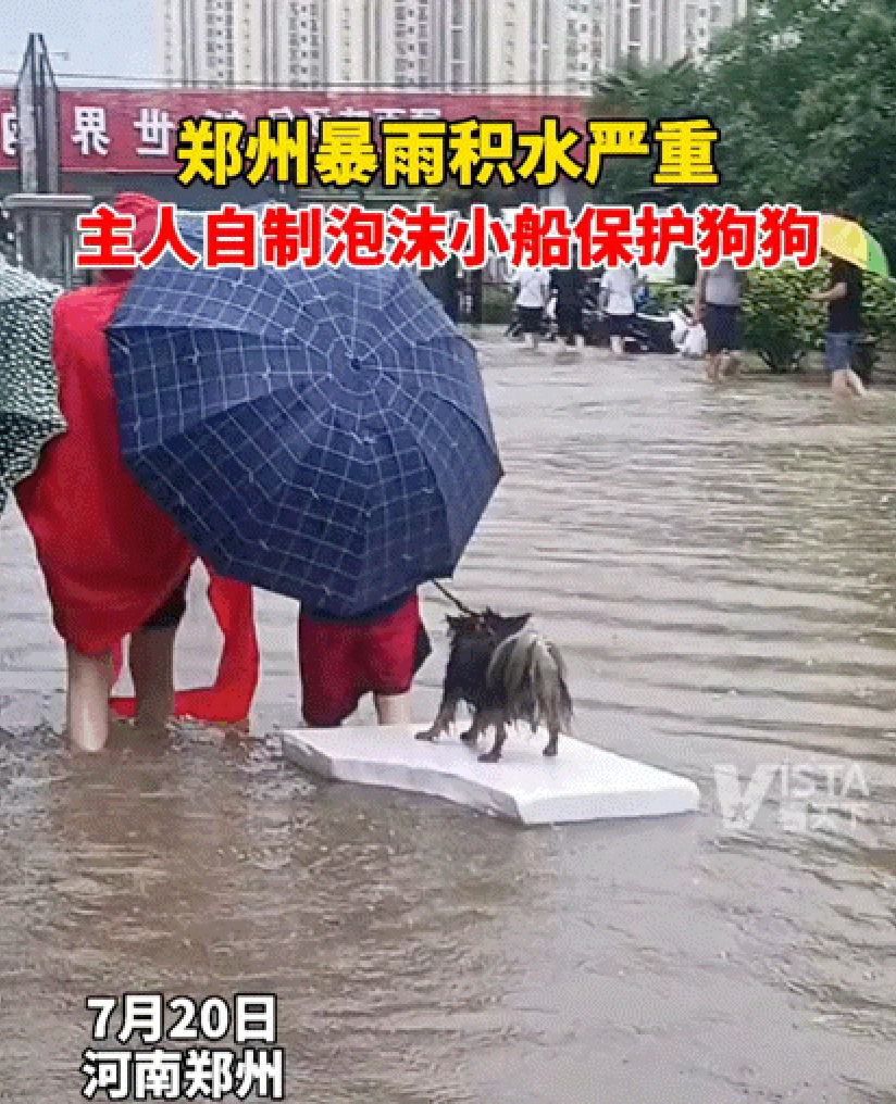 河南郑州洪水作文怎么写