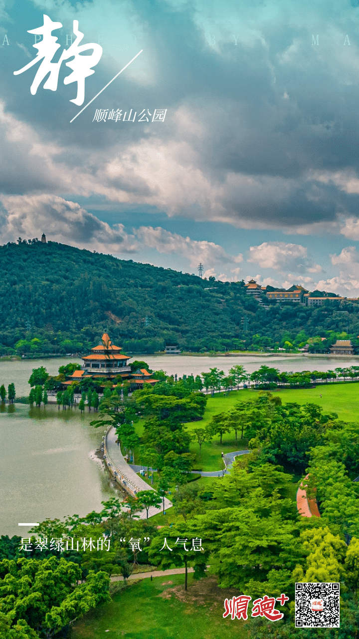 顺德美物 | 一场动静之间的"太极赛",在顺峰山公园悄悄上演......_摄