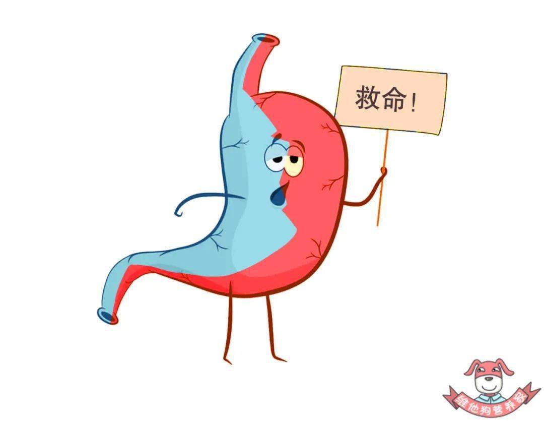 减缓胃肠蠕动,减少消化液分泌;二是温度的快速下降,还会导致消化酶的