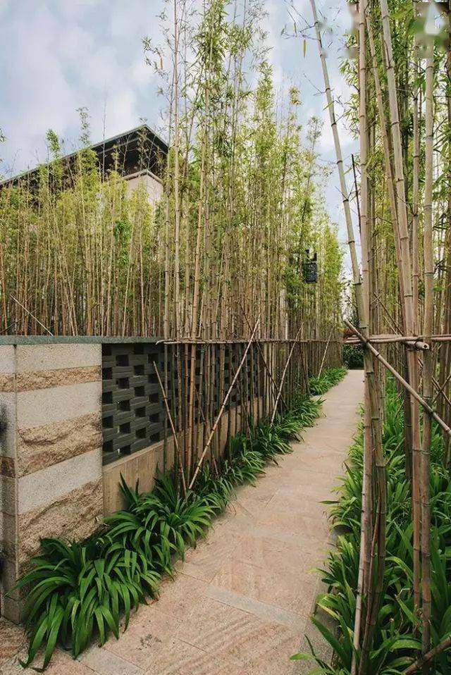 竹林镂空景墙日式庭院中的竹具做成的惊鹿竹林深处的石灯笼在指引着