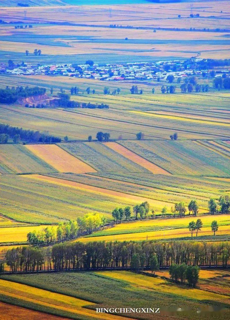 媒体关注黑龙江日报粮都富锦湿意天成