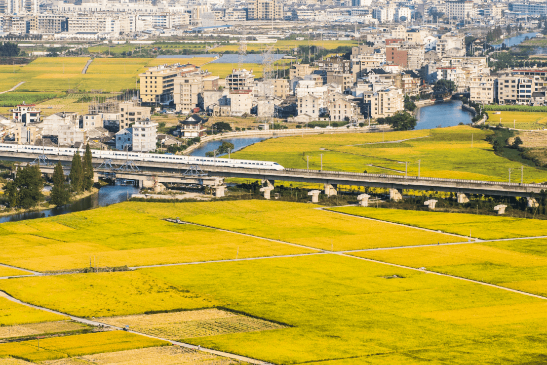 【助力共同富裕】温州乐清淡溪镇"乡贤 "模式赋能乡村共同富裕