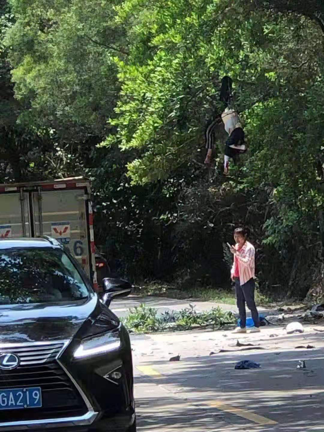 原創揭陽一對男女騎摩托遭遇離奇車禍女子掛在樹上男子摔進路溝