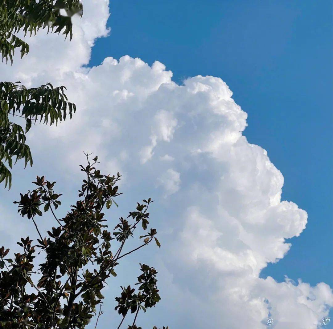 美的风景,写出如此细腻好听的歌吧王源镜头下的事物氛围感也太绝了吧!