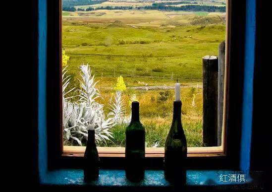 温度|储藏葡萄酒的六大禁忌，你是否也默默中枪？