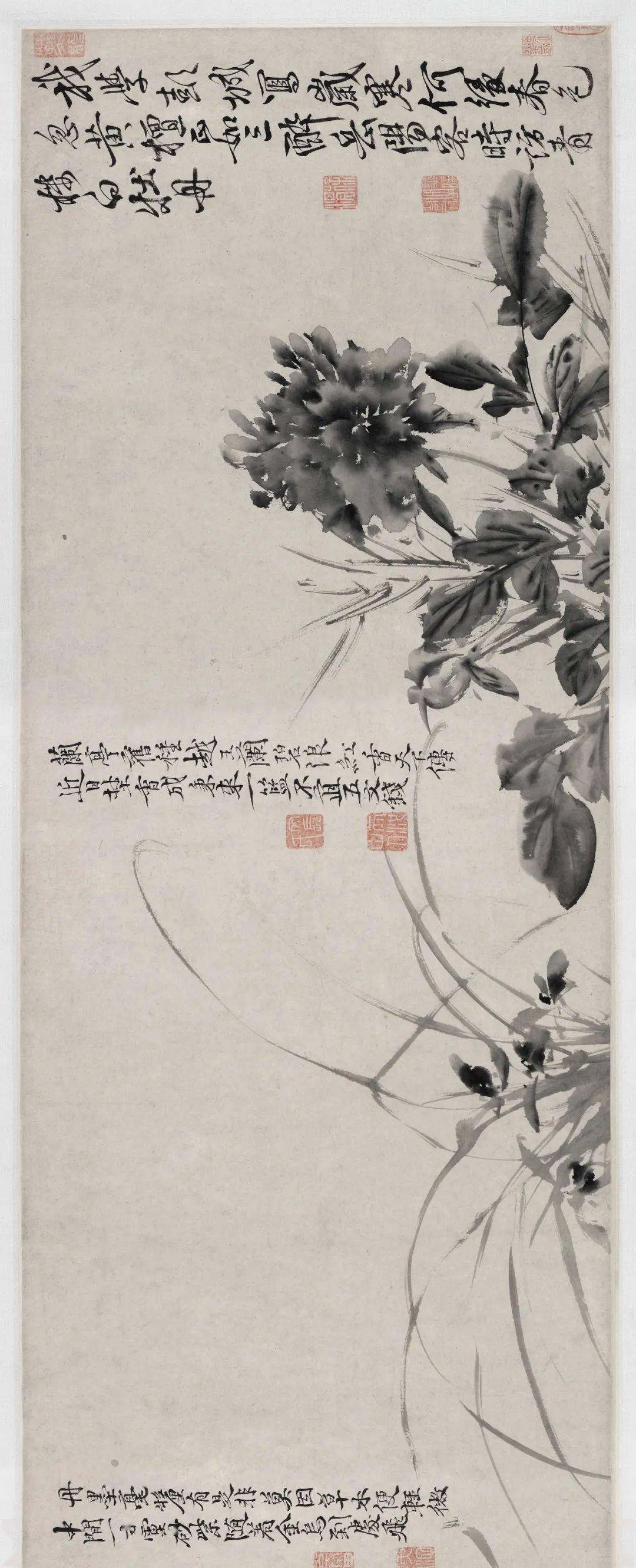 徐渭的墨花这才叫玩水墨