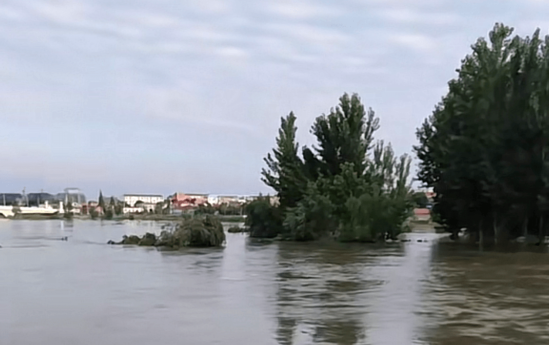 扶沟的洪水到底有多大我看哭了