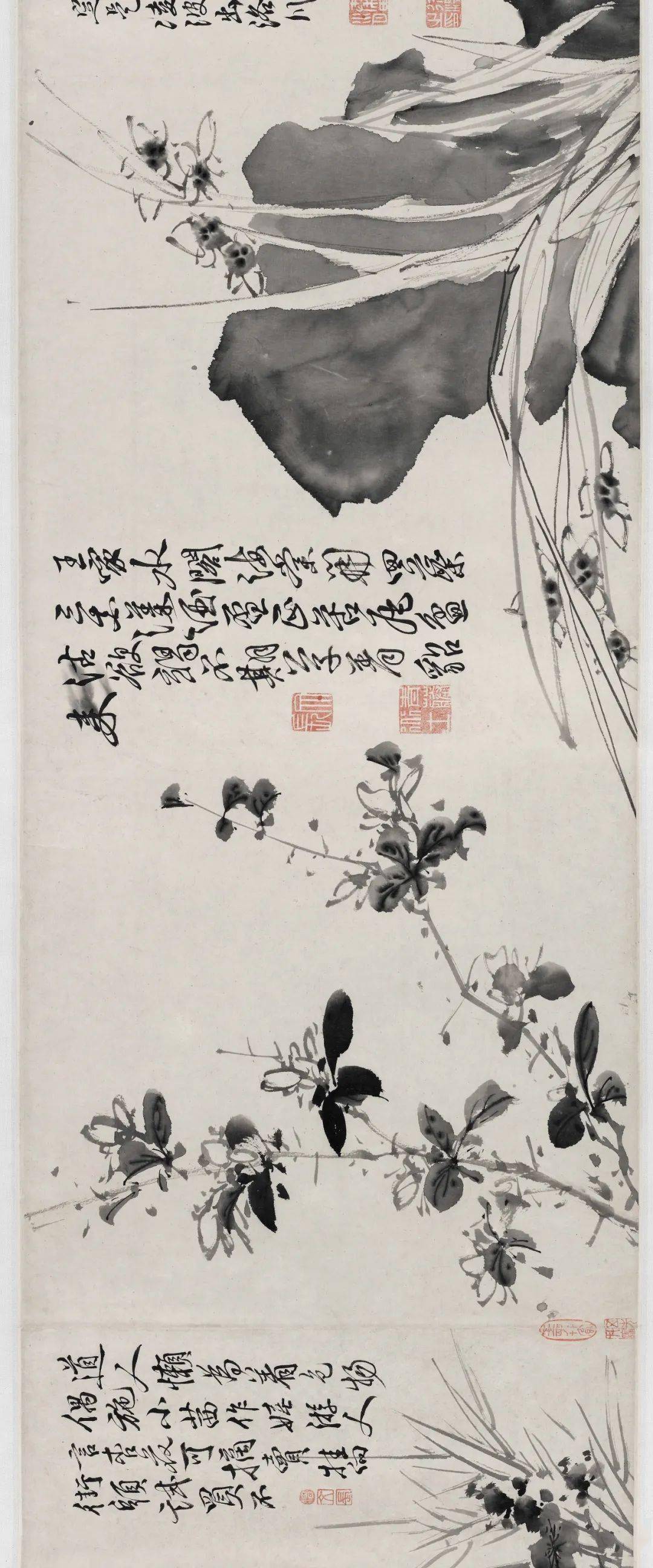 徐渭的墨花这才叫玩水墨