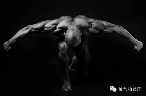 物质|喝葡萄酒为什么不能直接咽下去?