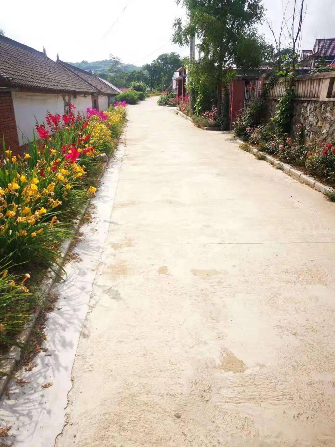 建美丽庭院助乡村振兴晒晒我的小院子⑤城山镇