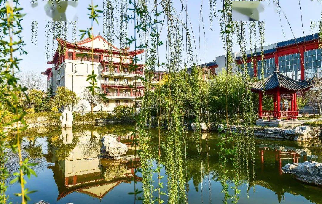 20人青州一中招聘教师