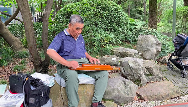 上海七旬爷叔常驻人民公园荷花池畔，用一把凤凰琴传递快乐