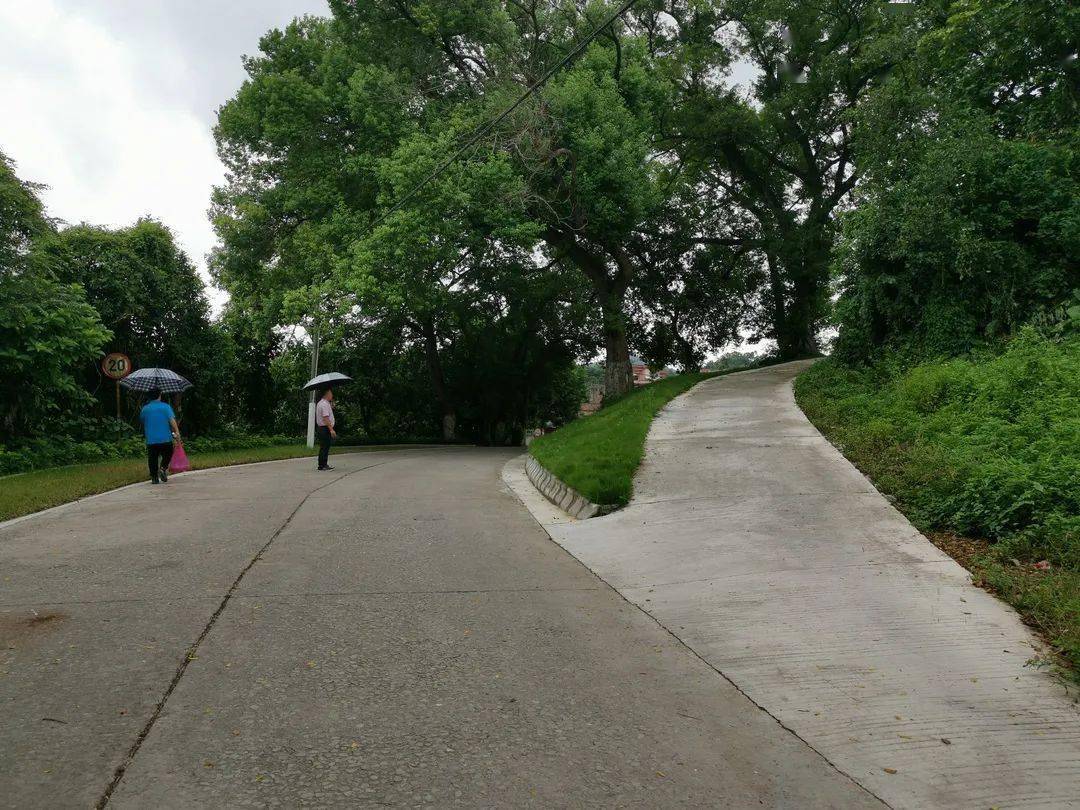 桃源镇富岗村这样做让村民出行更放心停车更方便