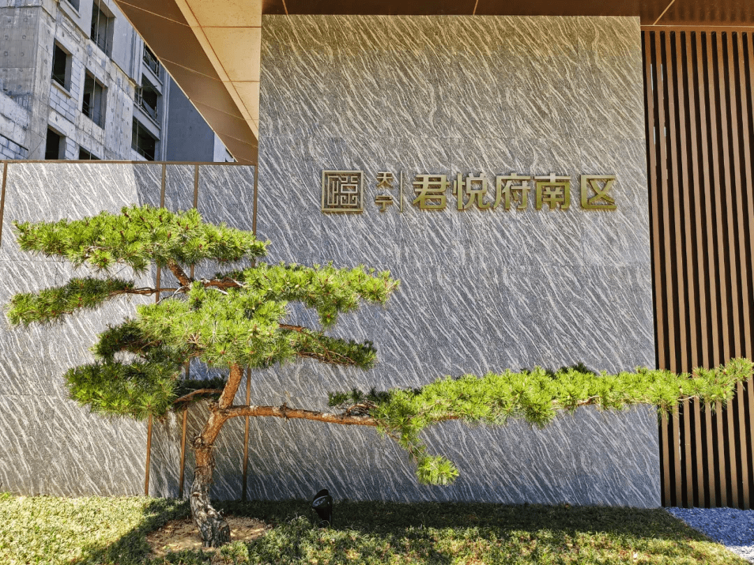 重磅天宁君悦府南区7月31日荣耀开盘全城争藏一触即发