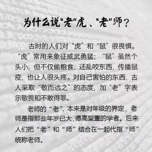 什么叫做真实性 328ac84377ba44e9816014a6edeb07ab.jpeg