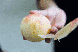 爆甜东塘水蜜桃上市啦