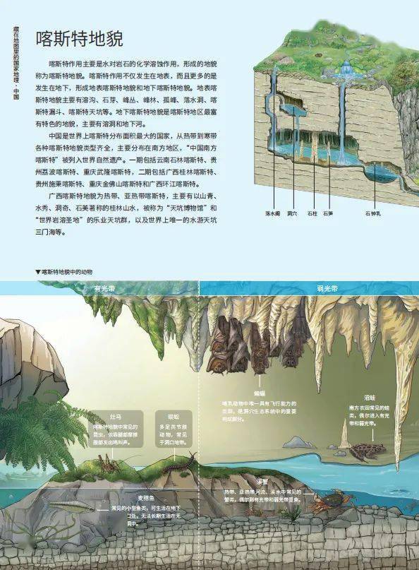 除了地圖外,這套書還有大量的插畫,有的解釋 特殊地貌的形成原理,有的