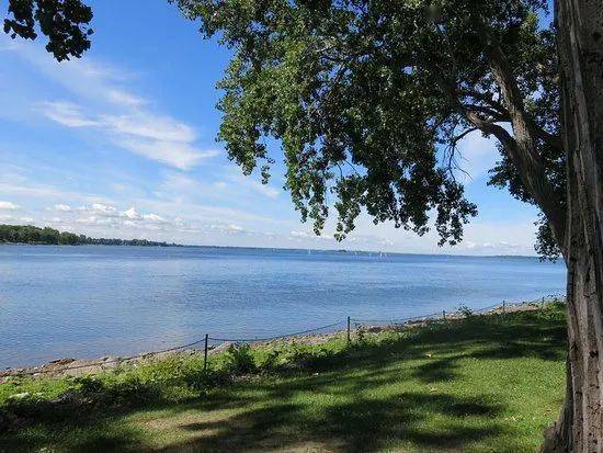 蒙特利尔西岛这个湖今年特别臭!