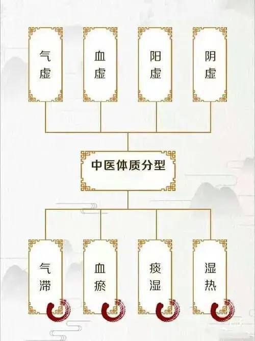 "中医体质辨识"专题:气虚质篇!教你辨体质,治未病