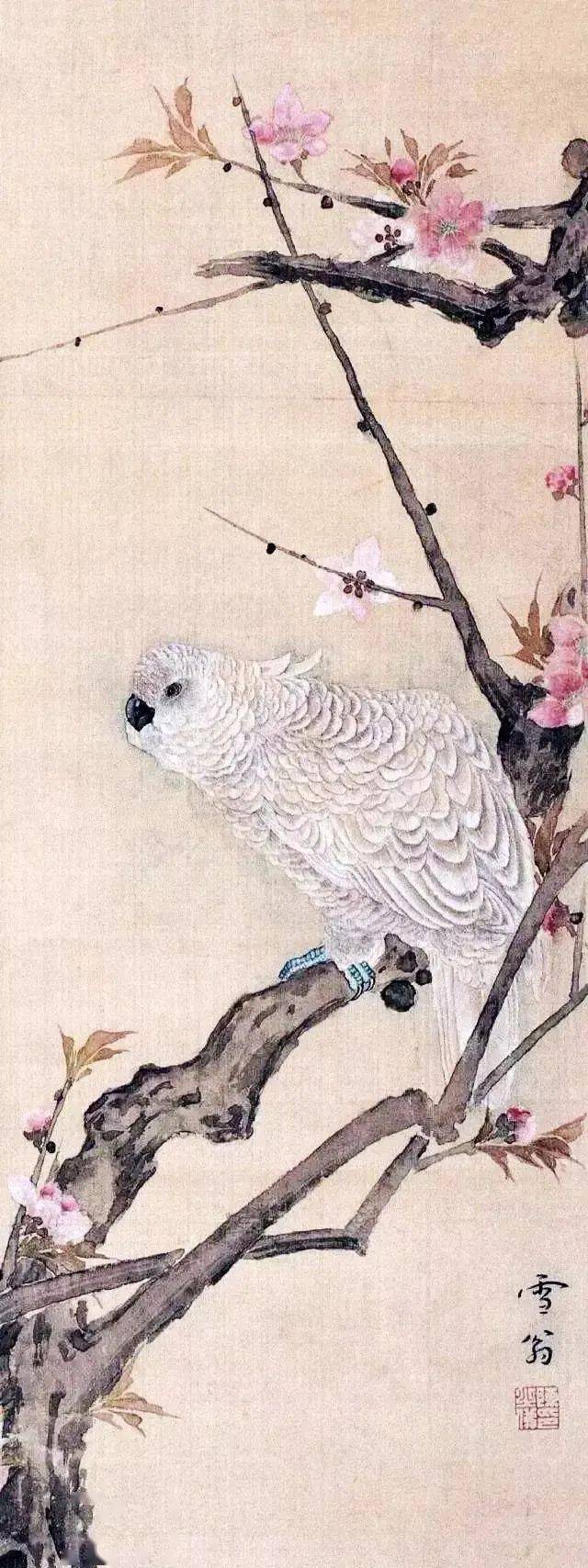 桃花,鹦鹉,真美!