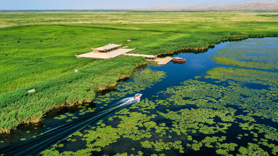 2021年7月30日,游客乘坐快艇畅游新疆博斯腾湖莲海世界景区,观赏万亩