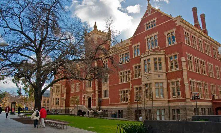 脂肪|有害的身体脂肪不仅会增加腰围，还会增加患失智症的风险