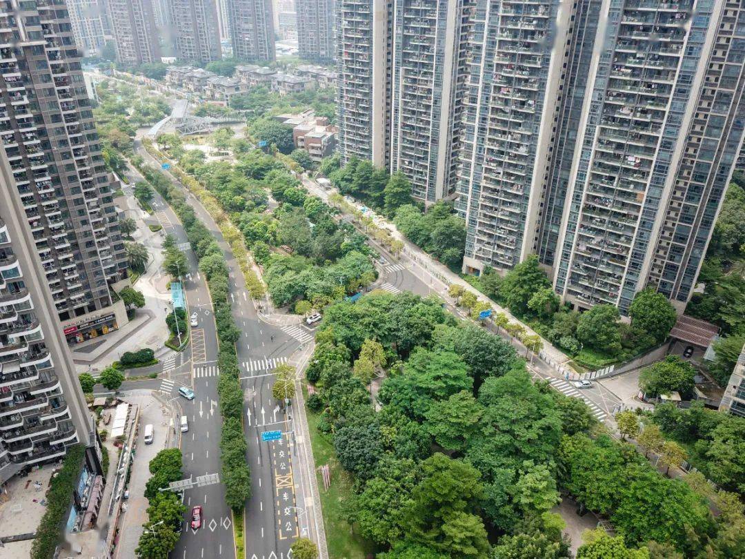 美哒哒,龙华红山绿廊里隐藏着"彩蛋" !快来打卡!