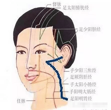 面部刮痧图解 步骤图片