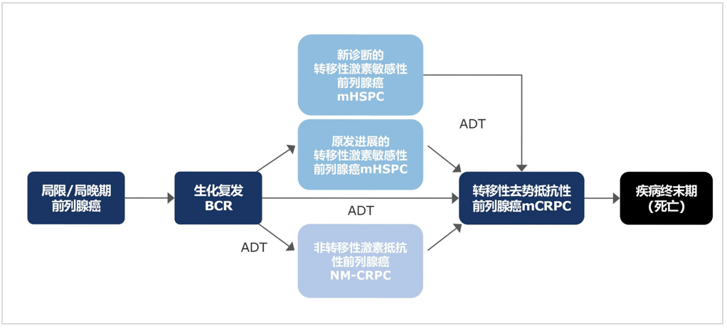 CRPC前列腺癌图片