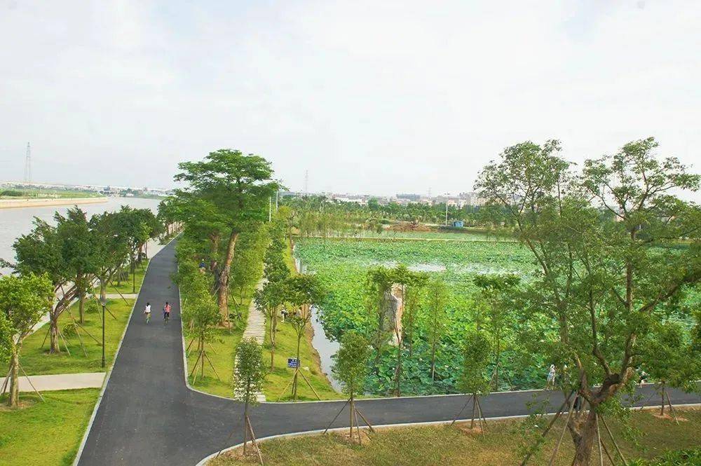 重点打造以穗成村主干道路为链,从穗成路经湿地公园到迎阳路