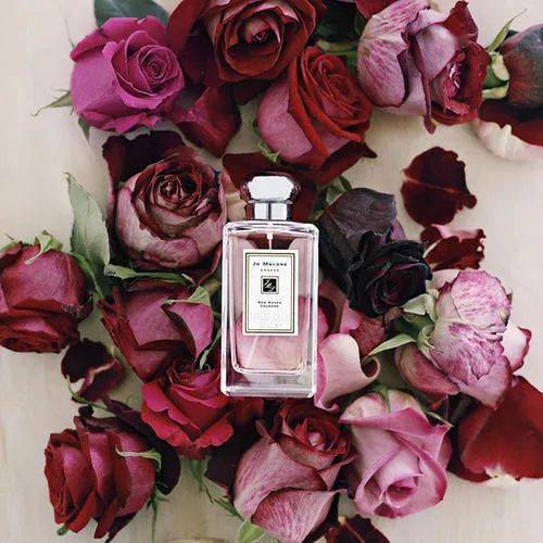 Jo Malone· | 2021˰ۣ8ˮƪ