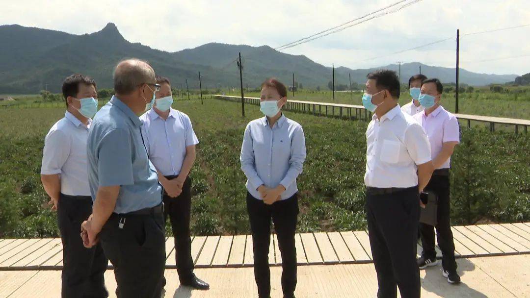 【要闻】董文琴到南岔县调研指导工作