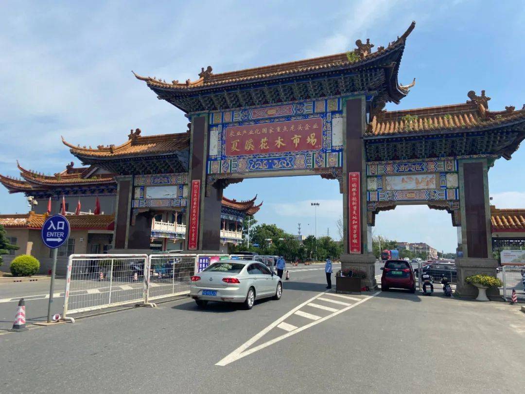 防疫不能松懈夏溪花木市场强化防控管理