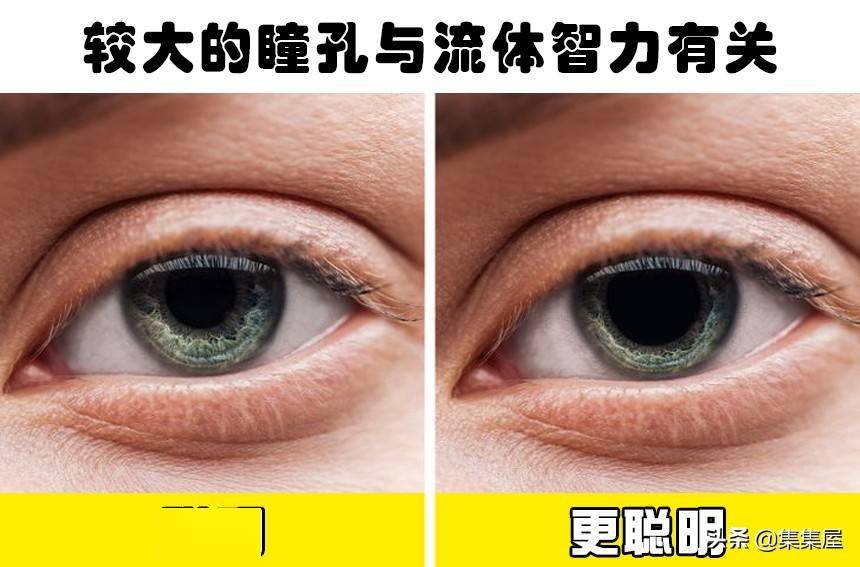科学研究发现瞳孔更大的人更聪明