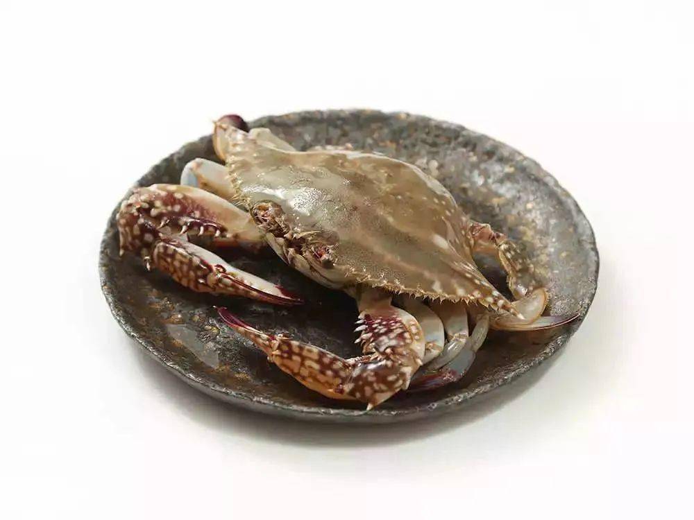 宁海人吃什么用这些办法挑选梭子蟹个个有膏又肥壮