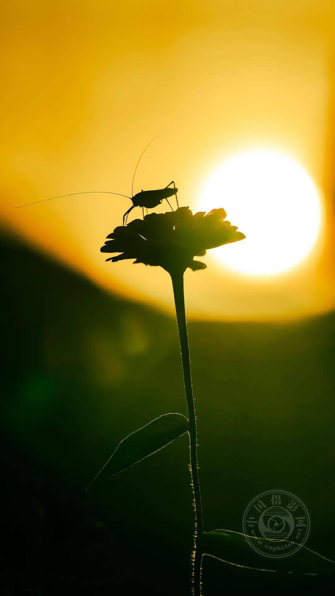 中国摄影网签约摄影师张杰:《山河》_时光