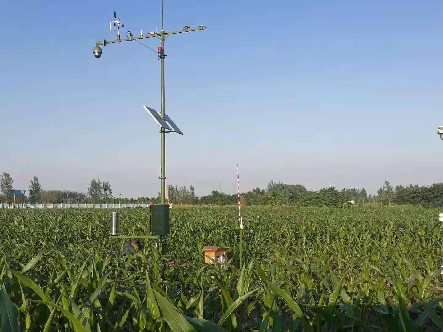 莘县:农田小气候站作物长势观测安装完成