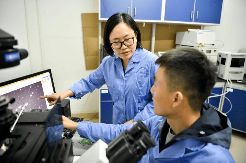 江薇薇短剧，探索现代戏剧的魅力与影响，江薇薇短剧，现代戏剧的魅力与影响探索