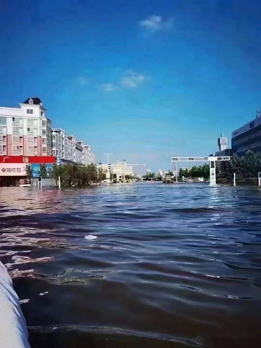 成年人不能认怂_卫辉